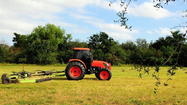 Iowa City Bush Hogging